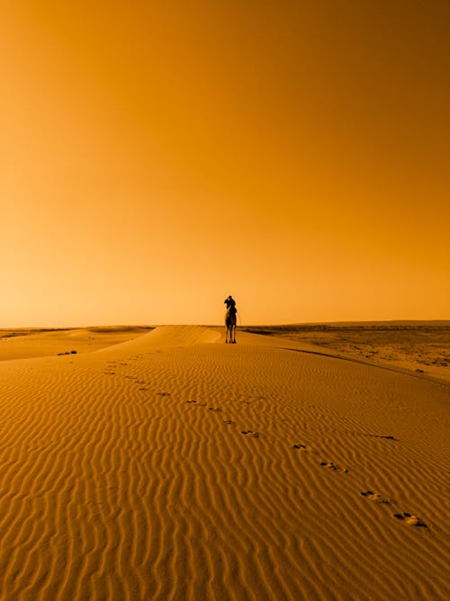 A person walking on the sand dunes in the desert
