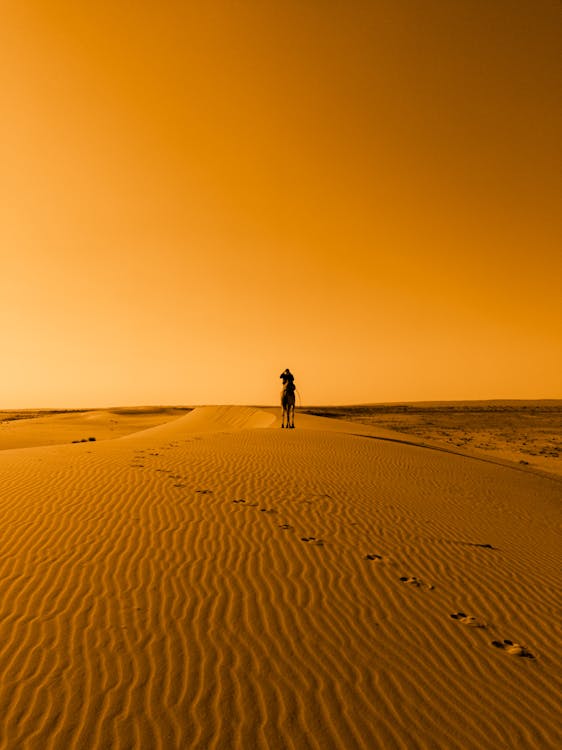 Foto profissional grátis de alvorecer, areia, aventura