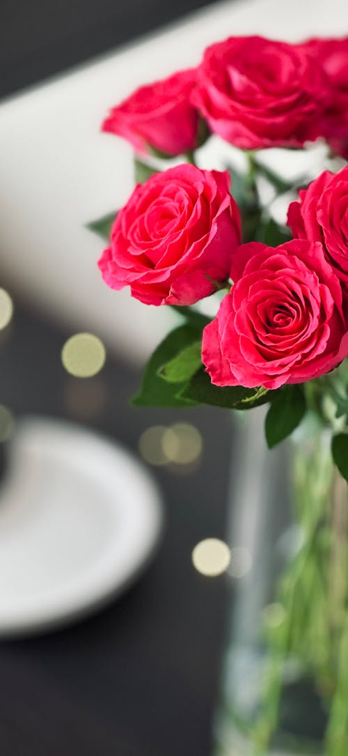 Fotos de stock gratuitas de amor, flores, fondo de pantalla