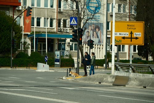 Ingyenes stockfotó épület, erdő, fa témában