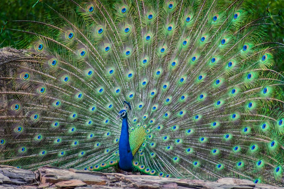 in Indien
