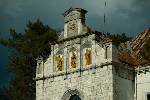 Ingyenes stockfotó épület, erdő, fa témában