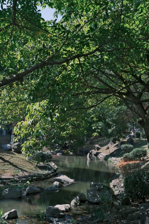 Free A tranquil outdoor scene featuring a serene river surrounded by lush greenery and rocks, perfect for nature lovers. Stock Photo