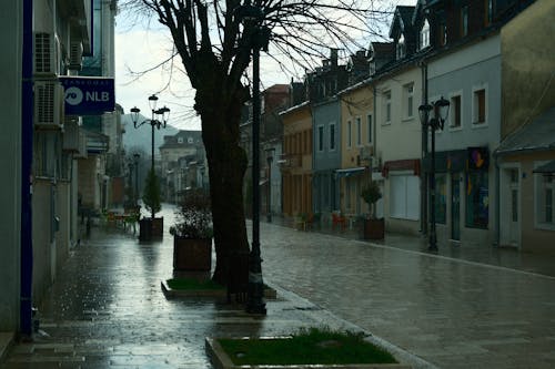 Ingyenes stockfotó épület, erdő, fa témában