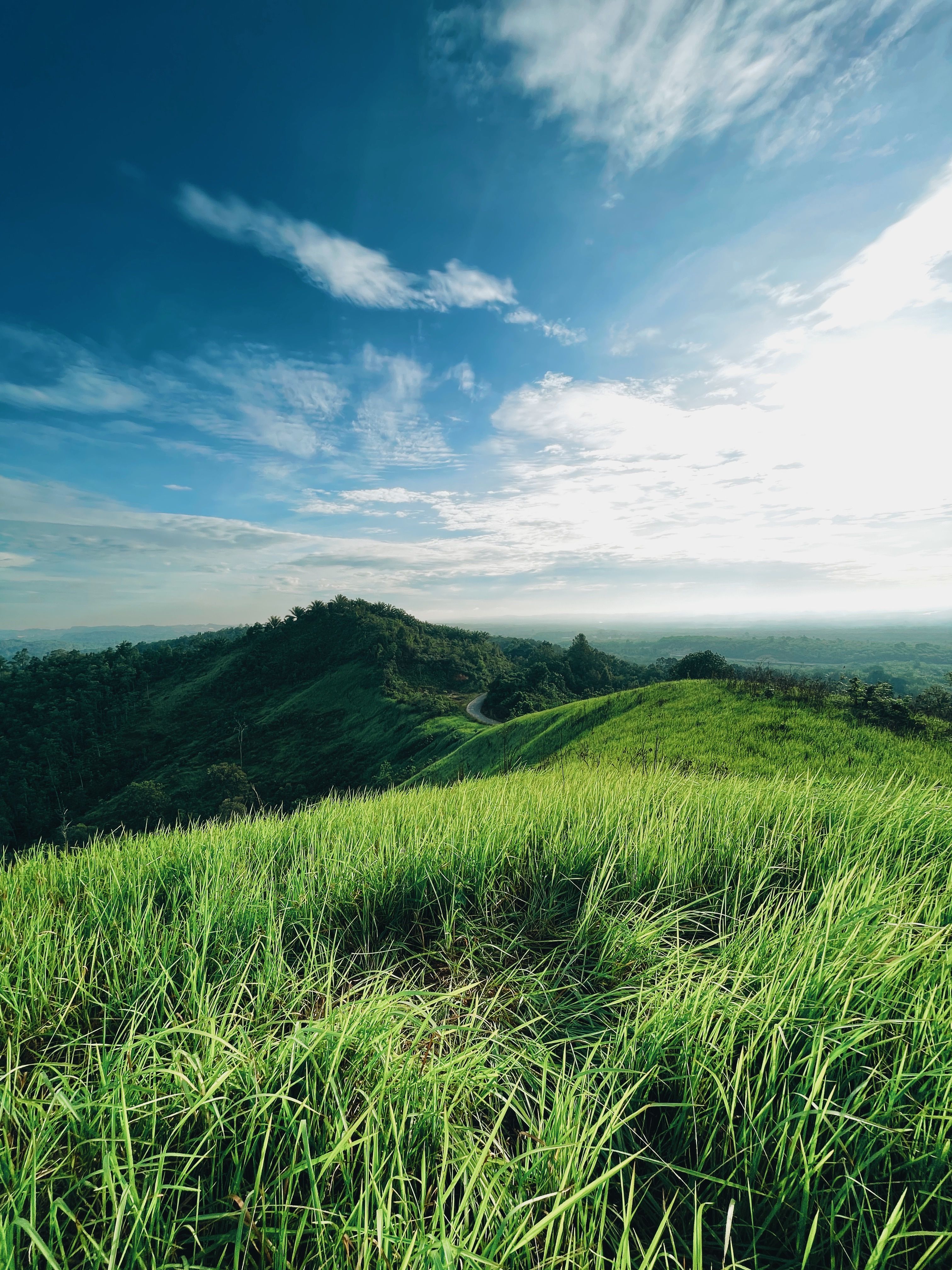 Ridge of Green Mountains · Free Stock Photo