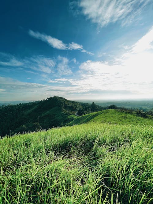 Ridge of Green Mountains