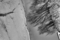 River by the Trees Seen From Above in Black and White