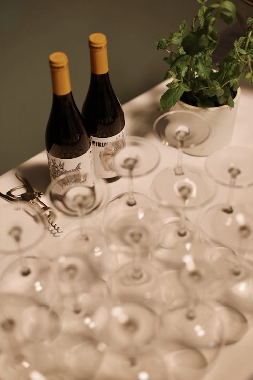 Wine glasses and bottles on a table with a plant