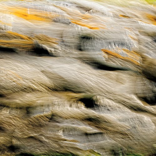 A blurry photograph of rocks and grass