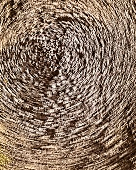 Artistic close-up of intricate swirling stone textures in earthy tones.