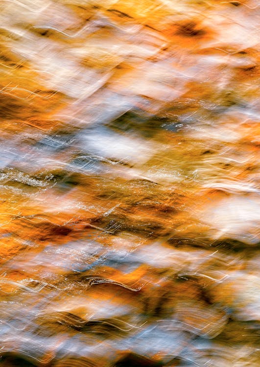 Abstract photograph of orange and yellow leaves