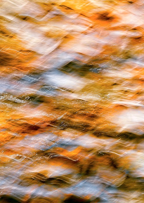 Free Abstract photograph of orange and yellow leaves Stock Photo