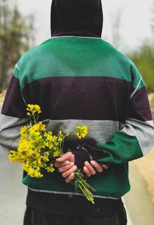 Fotos de stock gratuitas de amarillo, arbusto, asfalto