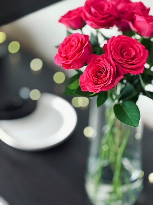 Fotos de stock gratuitas de amor, bonito, flores