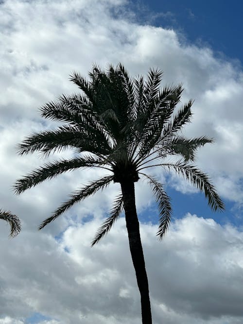 Foto profissional grátis de azul, ecológico, escapada