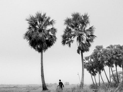 Foto profissional grátis de amantes da natureza, ao ar livre, areia