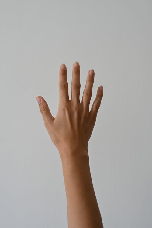 Gratis lagerfoto af arm hævet, fingre, hænder menneskelige hænder