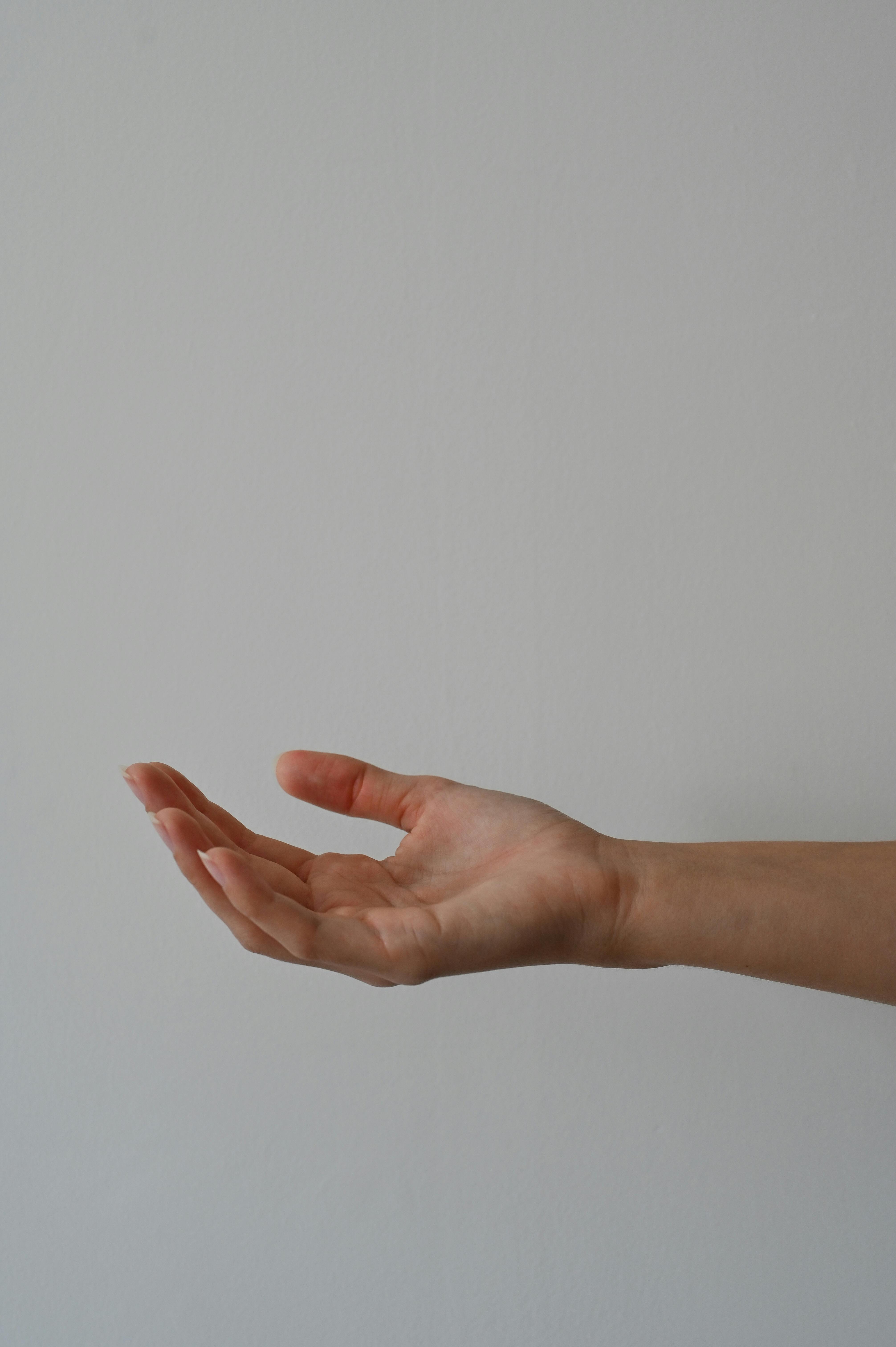 grátis Foto profissional grátis de amável, atenção, Belas Artes Foto profissional