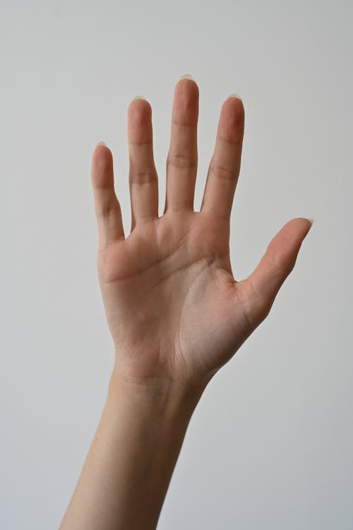 Ilmainen kuvapankkikuva tunnisteilla auttava käsi, ihminen, ihmisen käsi