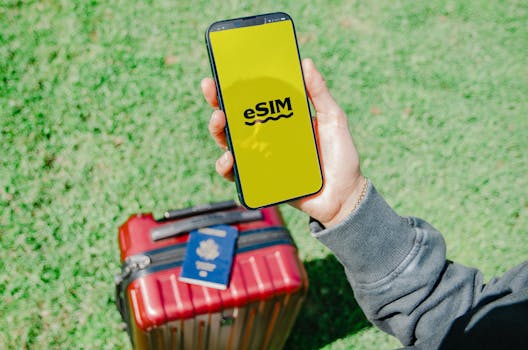 Traveler in Los Angeles holding a smartphone with eSIM near a red suitcase on grass.