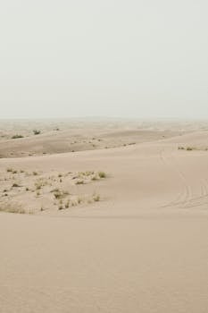Peaceful view of vast desert dunes under a misty sky.