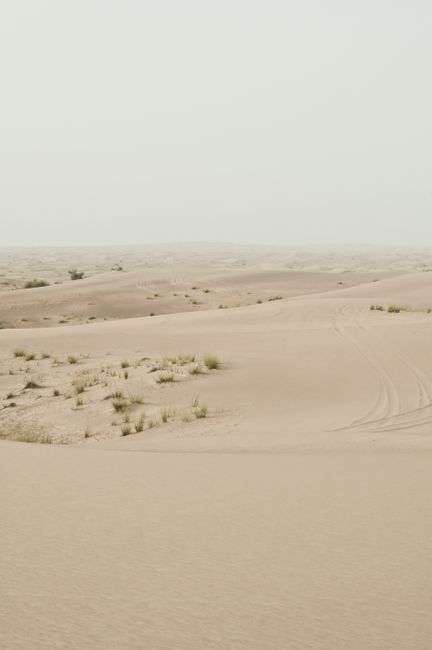 Peaceful view of vast desert dunes under a misty sky.
