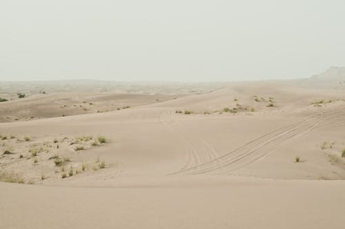 Foto profissional grátis de alvorecer, ao ar livre, areia
