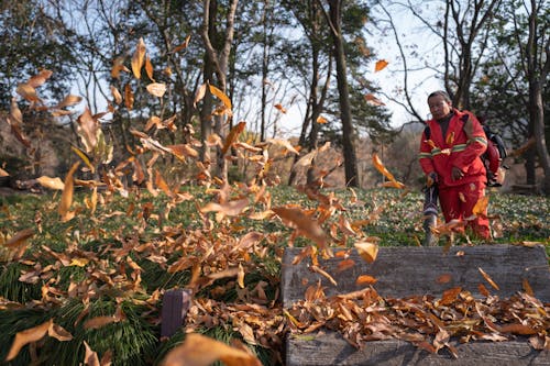 A man in red jacket is throwing leaves