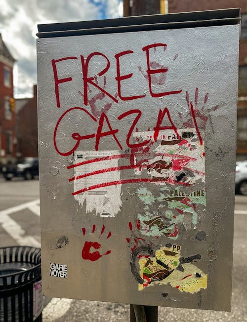 Gratis lagerfoto af bestyrelse, frit gaza, lodret skud