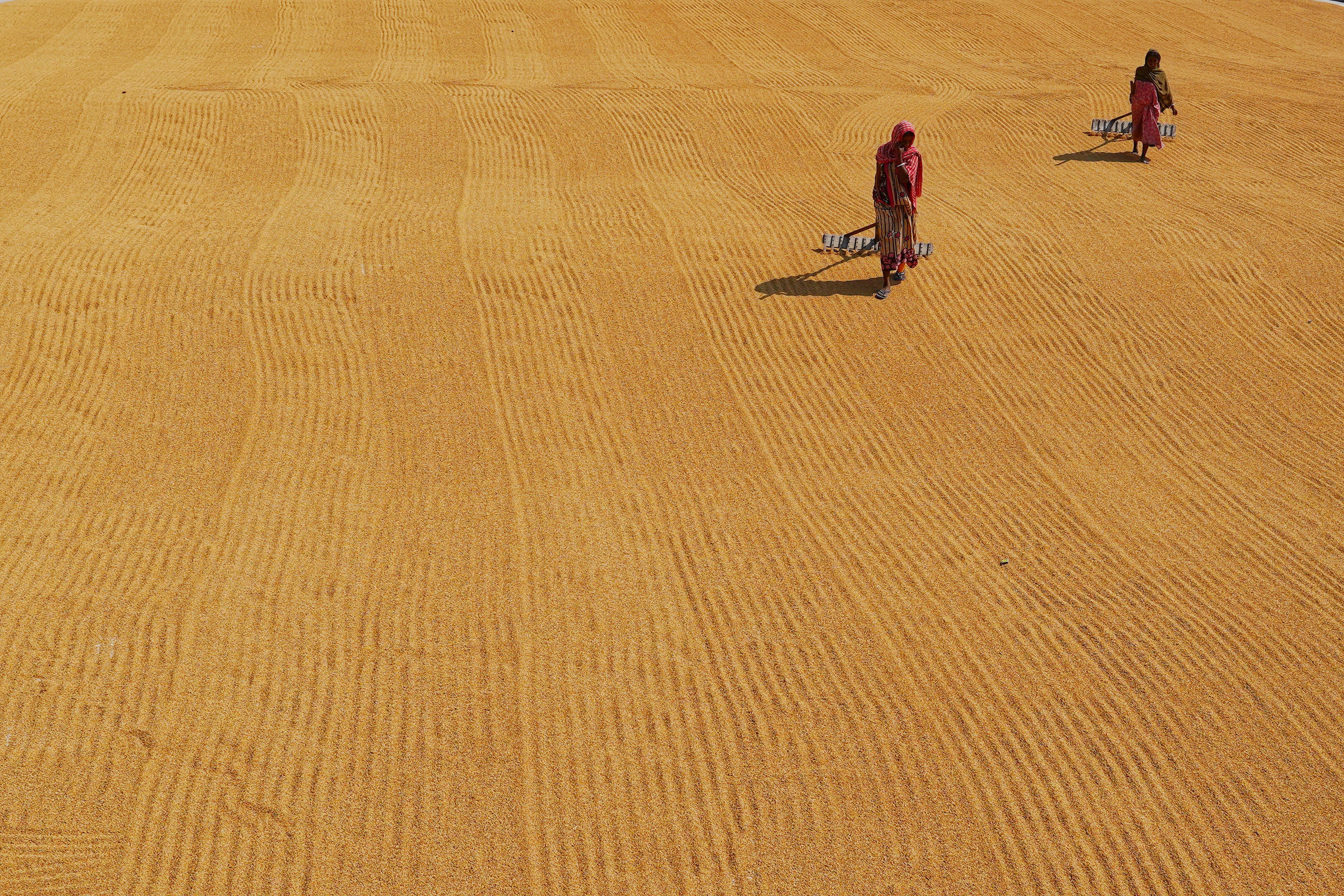 Mamdani’s $12 Billion Debt Wipeout Plan Has a Lesson for Your Finances — Photo by Dibakar Roy on Pexels