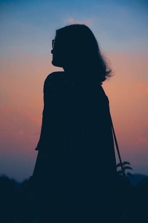 A silhouette of a woman looking at the sunset