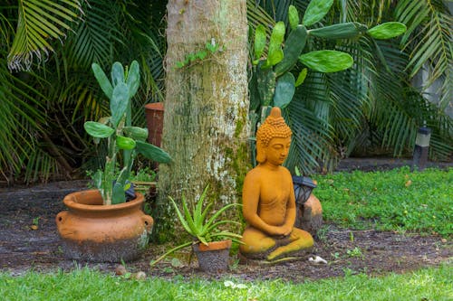 Безкоштовне стокове фото на тему «Будда, буддист, дерево»
