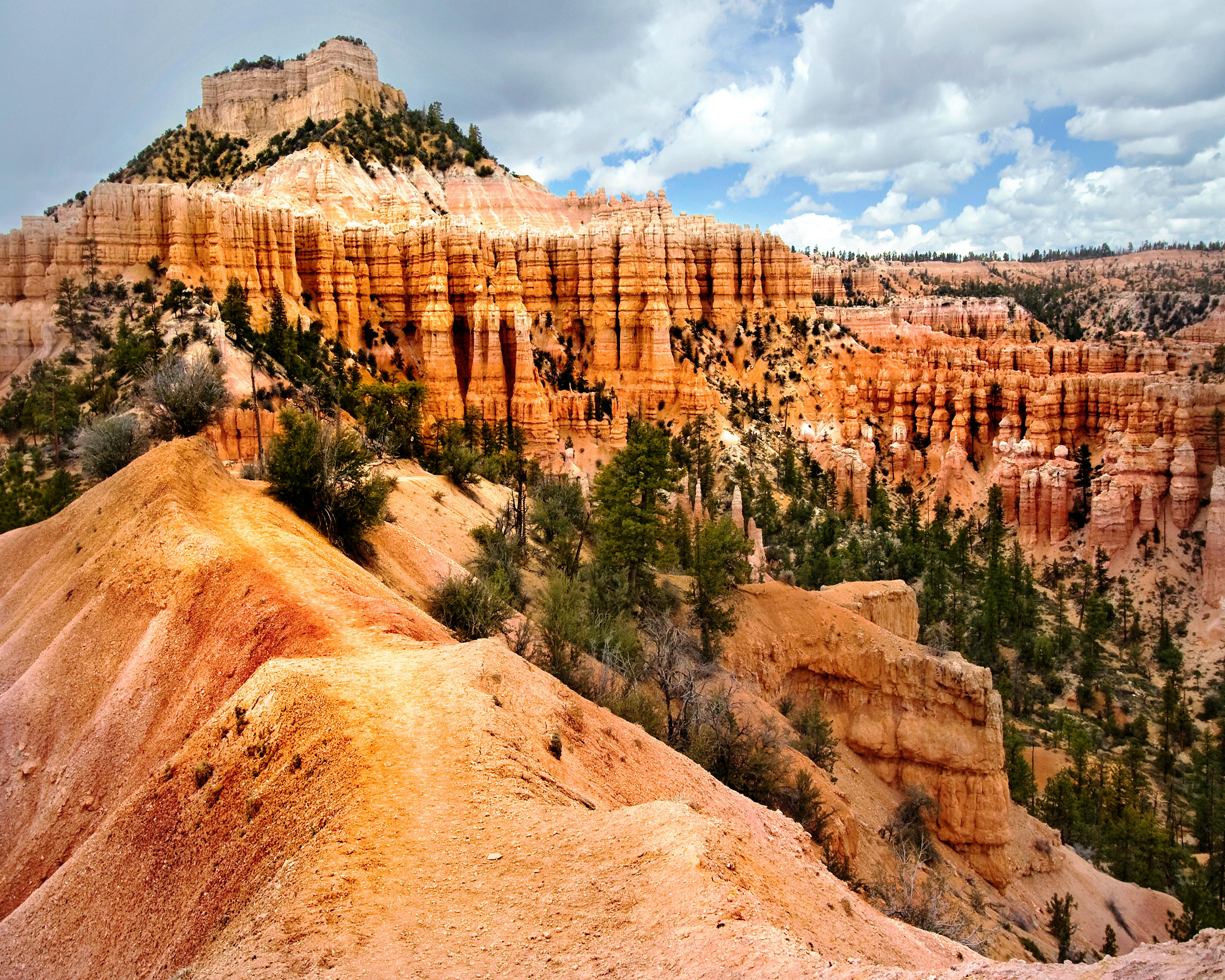 Ücretsiz abd, açık hava, ağaçlar içeren Ücretsiz stok fotoğraf Stok Fotoğraflar