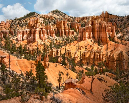 Back country trail, Bryce National Park, Utah, USA