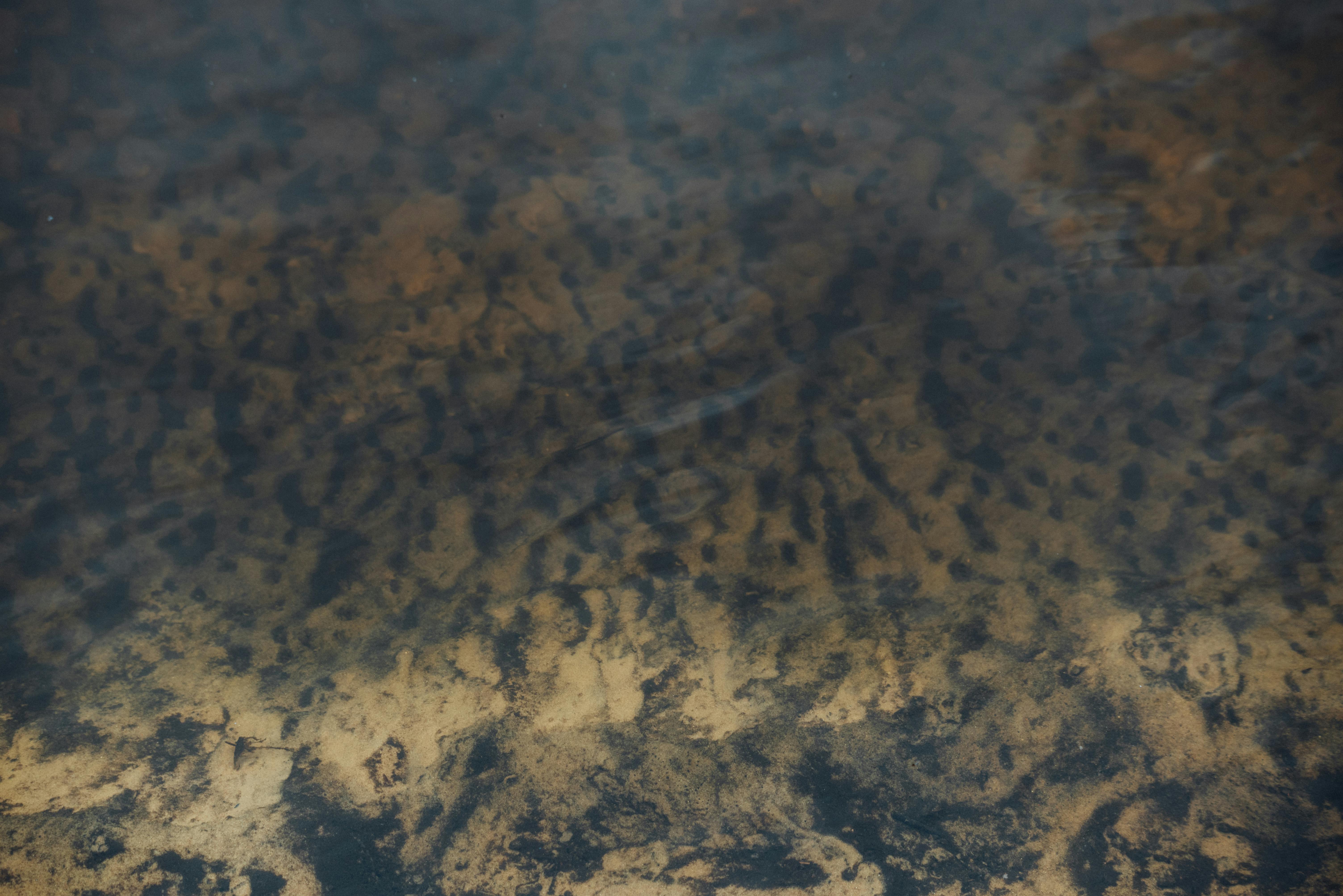 Calm underwater view of sand patterns beneath ocean water.