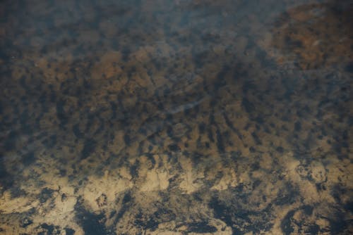 A close up of the water surface with clouds