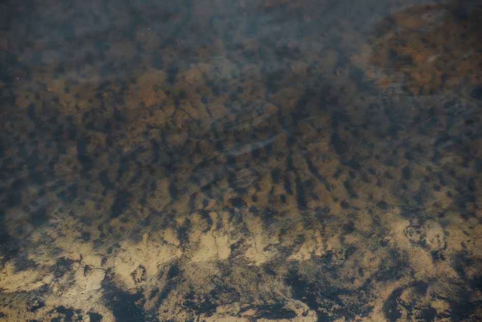 Calm underwater view of sand patterns beneath ocean water.