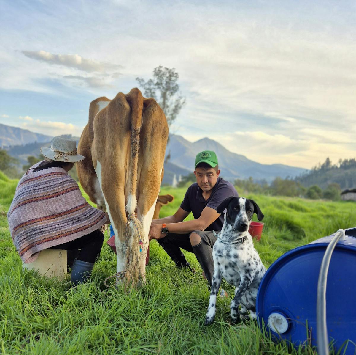 Women Milking Men Photos, Download The