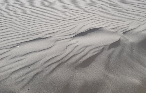 Foto profissional grátis de areia, arenoso, beira-mar