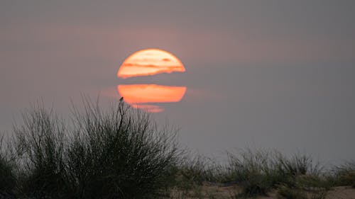 太陽, 日没, 砂漠の無料の写真素材