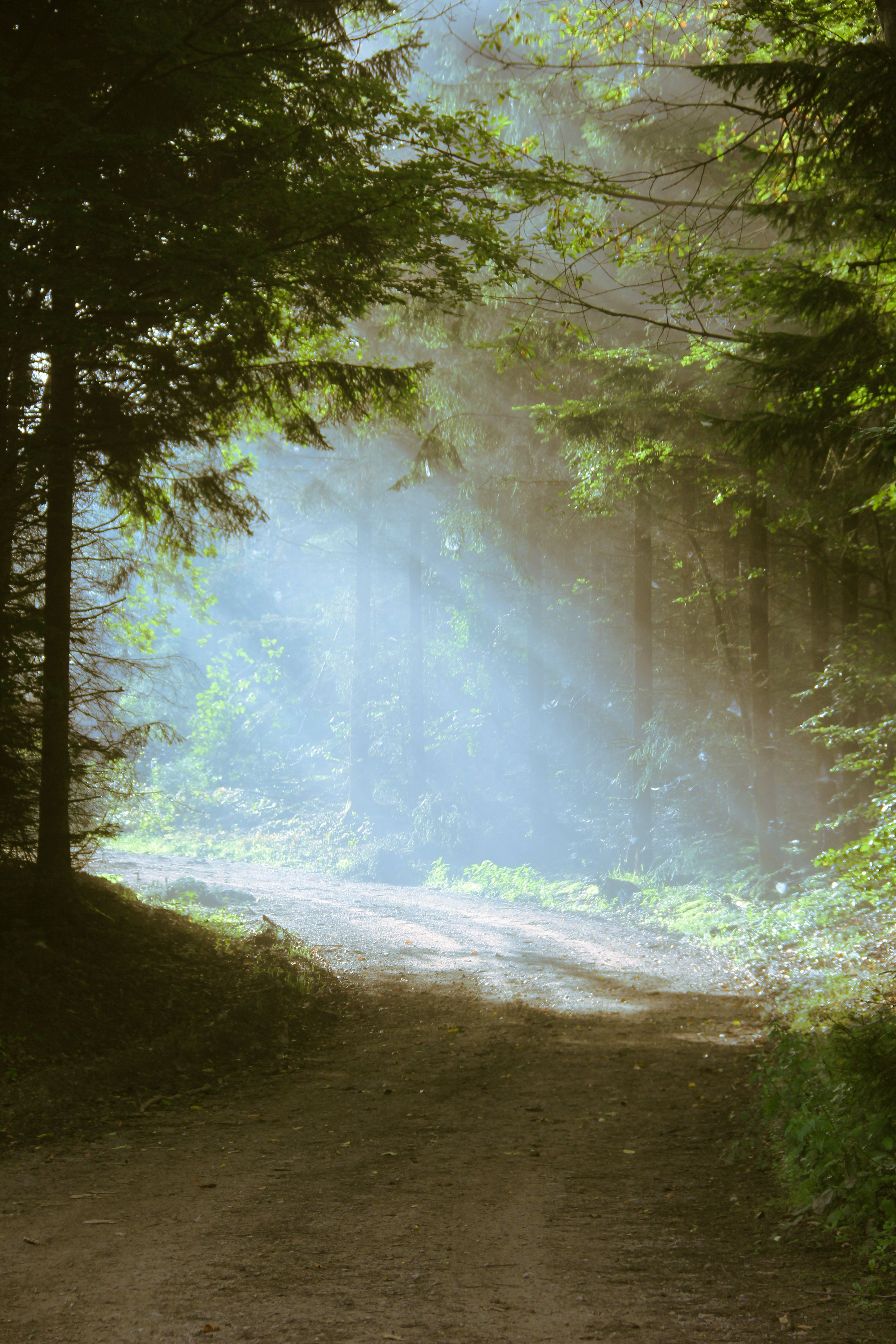 Olp Photos, Download The BEST Free Olp Stock Photos & HD Images