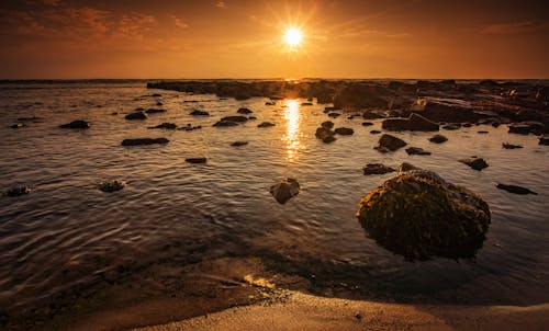 Rocks on Sea Shore at Sunset