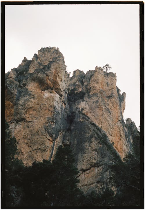 A photo of a mountain with trees on it