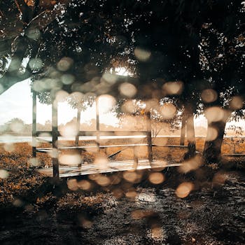 Tranquil park scene with benches, trees, and rain droplets in Tramandaí, Brazil.