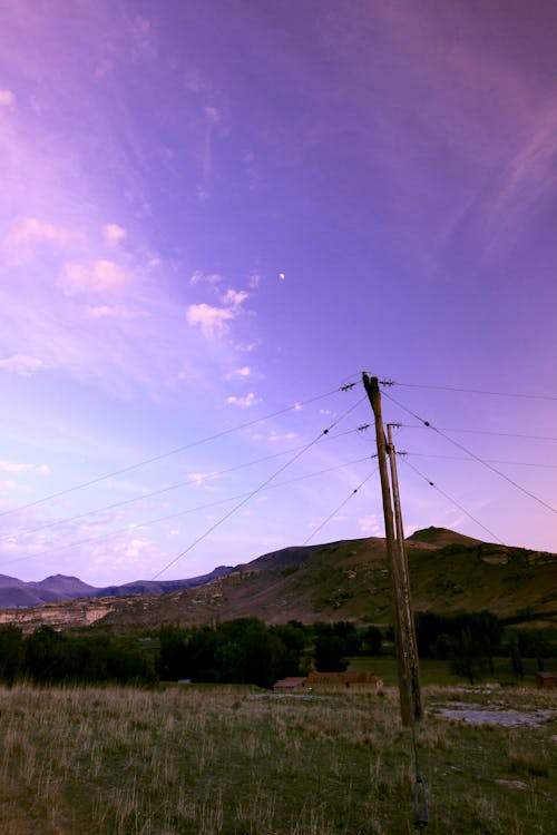 Telephone pole again purple sky with moon
