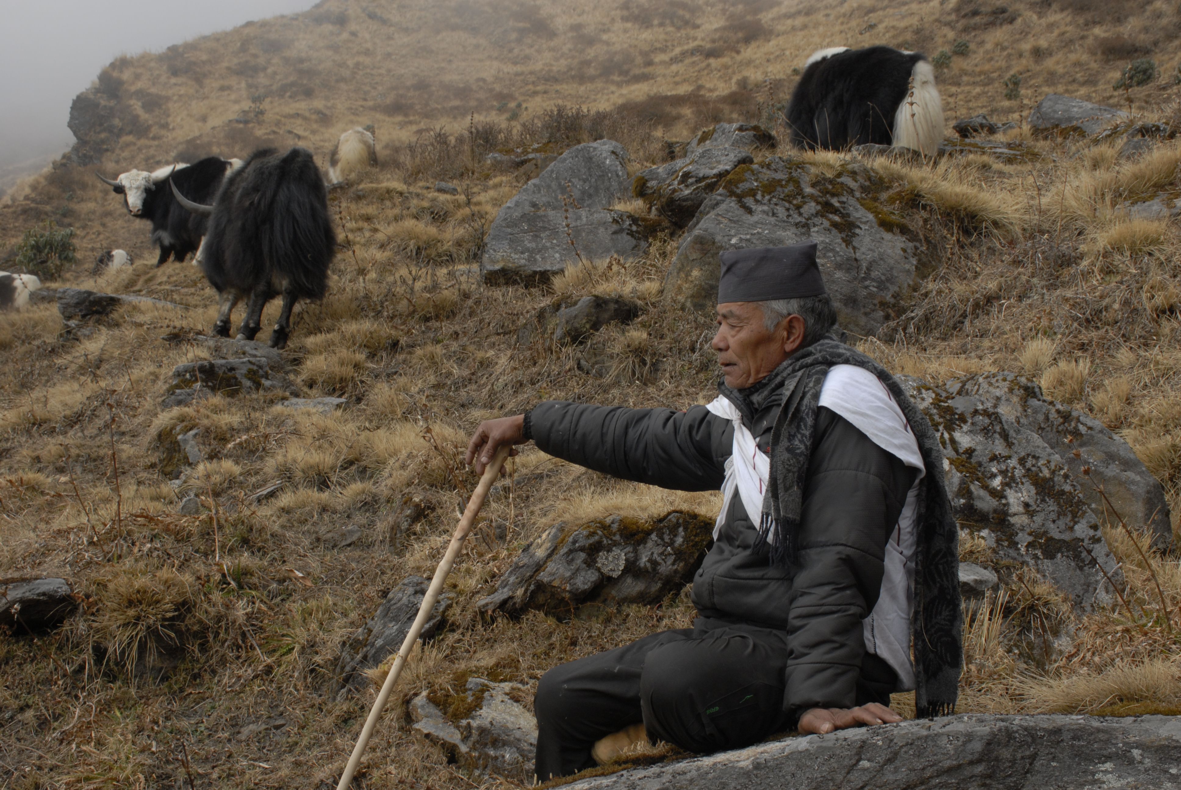 Nepal Farmer Wildlife Conflict