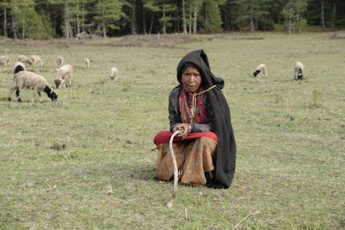 A woman in a black hooded cloak sitting on the ground with sheep