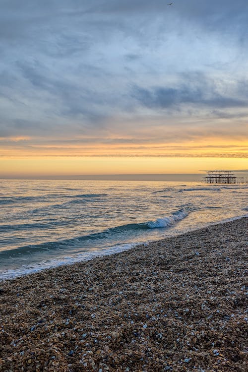 Kostenloses Stock Foto zu brighton, brighton beach, eine primera línia de mar de brighton