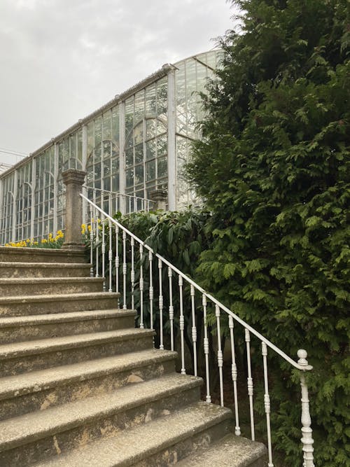A staircase leading up to a greenhouse with a glass roof