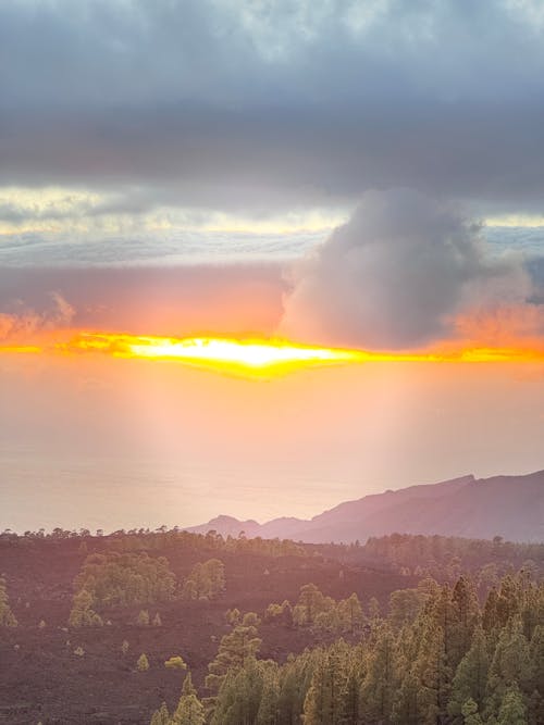 The sun is setting over a forested area